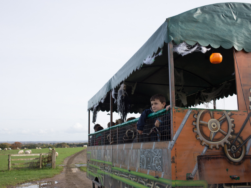 Boy looking our over the Warwickshire countryside from the tractor ride at Hatton Halloween Spooktacular