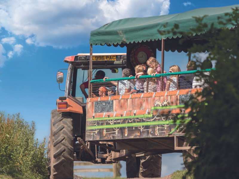 Children's tractor ride Hatton Halloween Spooktacular