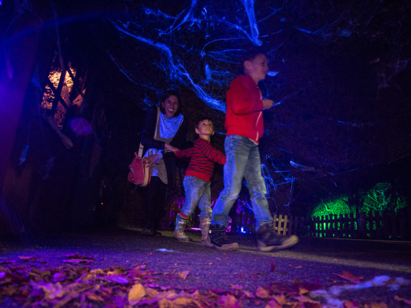 Family walking through Halloween UV walk through at Hatton Adventure World's Halloween Spooktacular