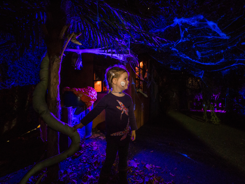 Family friendly walk Halloween walk through at Hatton Halloween Spooktacular